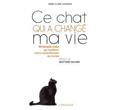 Ce-chat-qui-a-change-ma-vie