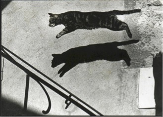 Chat condoleances
